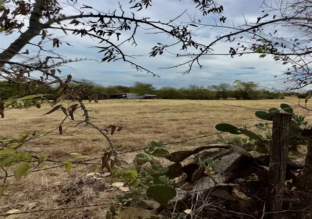 Photo 3 of Land for sale at 3638 County Rd 2910, Dodd City, TX 75438 | MLS# 21391591 | Listing updated on 2026-10-01