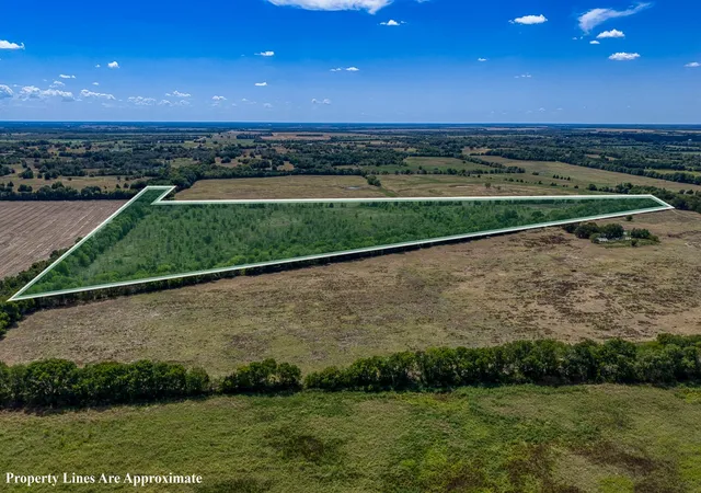 Photo 1 of Land for sale at 1 County Rd 3505, Pecan Gap, TX 75469 | MLS# 21391668 | Listing updated on 2026-09-22