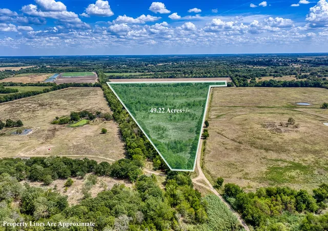 Photo 2 of Land for sale at 1 County Rd 3505, Pecan Gap, TX 75469 | MLS# 21391668 | Listing updated on 2026-09-22