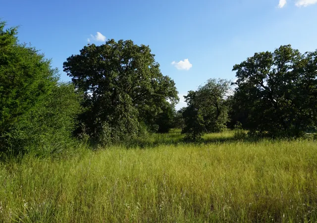 Land for sale at 12641 Private Rd 5104, Athens, TX 75751 | MLS# 21391911