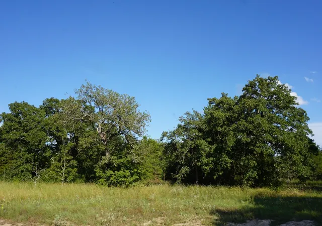 Photo 2 of Land for sale at 12641 Private Rd 5104, Athens, TX 75751 | MLS# 21391911 | Listing updated on 2026-09-24