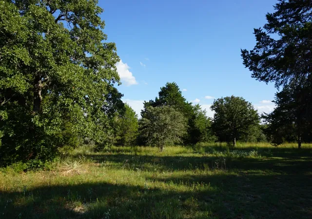 Photo 3 of Land for sale at 12641 Private Rd 5104, Athens, TX 75751 | MLS# 21391911 | Listing updated on 2026-09-24