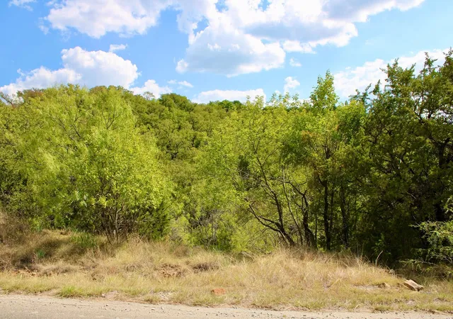 Photo 3 of Land for sale at Tbd Arts Way, Gordon, TX 76453 | MLS# 21391913 | Listing updated on 2026-09-22