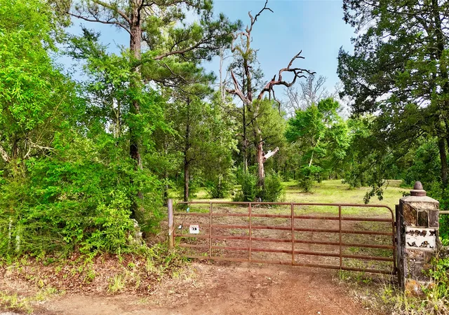 Photo 3 of Land for sale at 0 Gibson Rd, Athens, TX 75751 | MLS# 21388752 | Listing updated on 2026-09-22