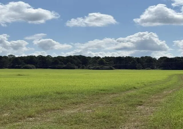 Photo 1 of Land for sale at 0 An Cnounty Rd 1231, Palestine, TX 75801 | MLS# 21392610 | Listing updated on 2026-09-22