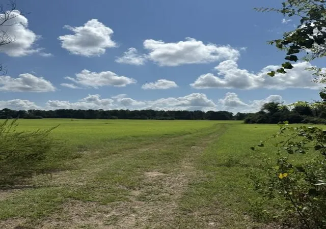 Photo 2 of Land for sale at 0 An Cnounty Rd 1231, Palestine, TX 75801 | MLS# 21392610 | Listing updated on 2026-09-22