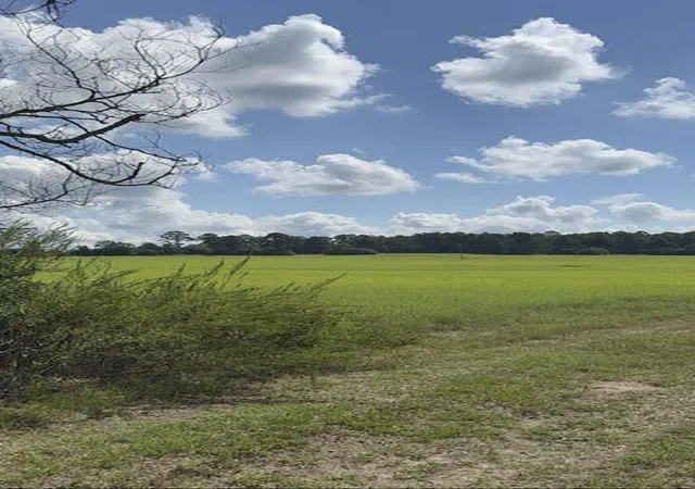 Photo 3 of Land for sale at 0 An Cnounty Rd 1231, Palestine, TX 75801 | MLS# 21392610 | Listing updated on 2026-09-22