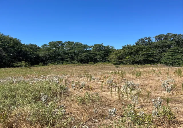 Photo 2 of Land for sale at Lot 42 Antrim Ct, Poolville, TX 76487 | MLS# 21392891 | Listing updated on 2026-10-06