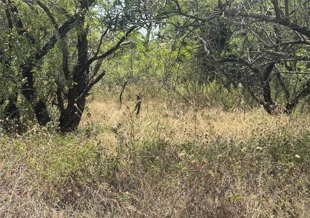 Photo 1 of Land for sale at Waterford Dr, Brownwood, TX 76801 | MLS# 21375811 | Listing updated on 2026-09-23
