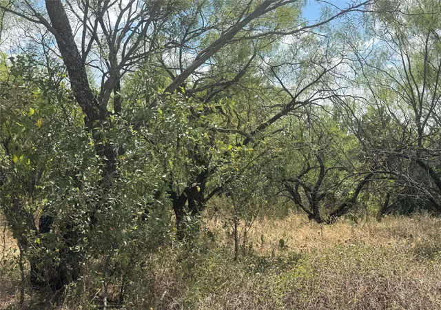Photo 2 of Land for sale at Waterford Dr, Brownwood, TX 76801 | MLS# 21375811 | Listing updated on 2026-09-23