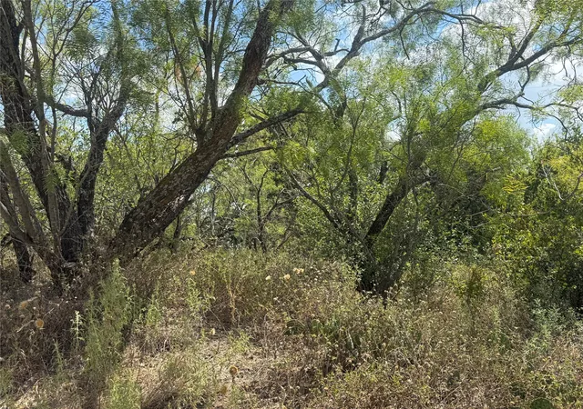 Photo 3 of Land for sale at Waterford Dr, Brownwood, TX 76801 | MLS# 21375811 | Listing updated on 2026-09-23