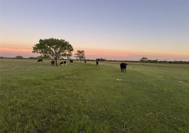 Photo 2 of Land for sale at 3132 Vz County Rd 3808, Wills Point, TX 75169 | MLS# 21391315 | Listing updated on 2026-10-08