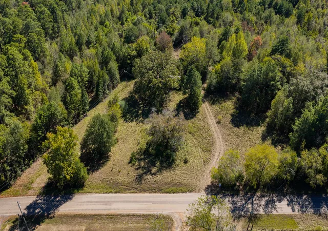 Photo 1 of Land for sale at 0 Ferguson Rd, Harleton, TX 75651 | MLS# 21393352 | Listing updated on 2026-10-09