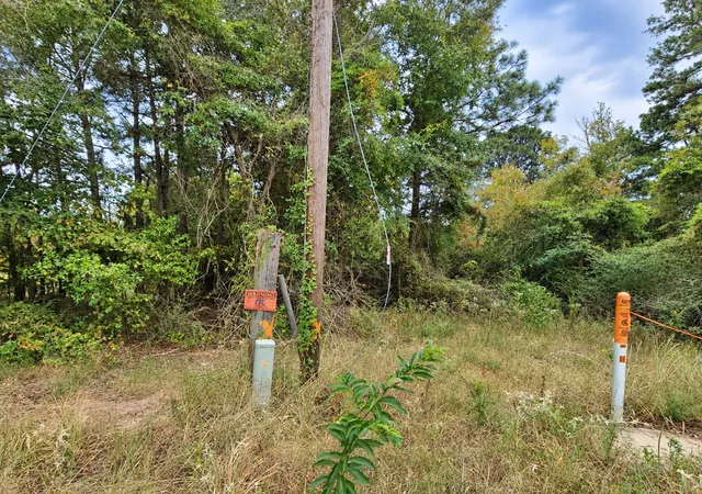 Photo 3 of Land for sale at 0 Ferguson Rd, Harleton, TX 75651 | MLS# 21393352 | Listing updated on 2026-10-09