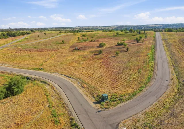 Land for sale at 3201 Lucky Pepper Dr, Cresson, TX 76035 | MLS# 21390733