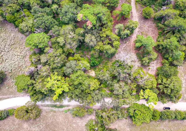 Photo 4 of Land for sale at 18064 County Rd 443, Marquez, TX 77865 | MLS# 21393501 | Listing updated on 2026-09-23