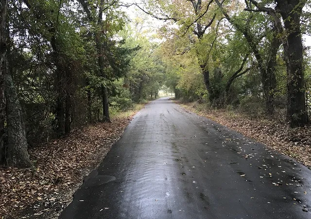 Land for sale at Rains County Rd, Emory, TX 75440 | MLS# 21393626