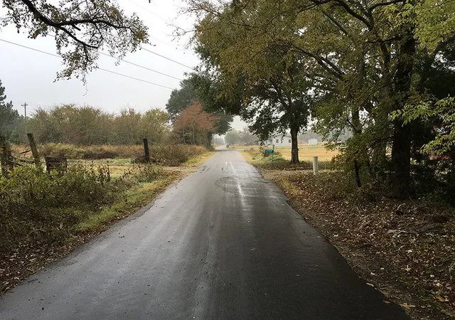 Photo 2 of Land for sale at Rains County Rd, Emory, TX 75440 | MLS# 21393626 | Listing updated on 2026-09-23