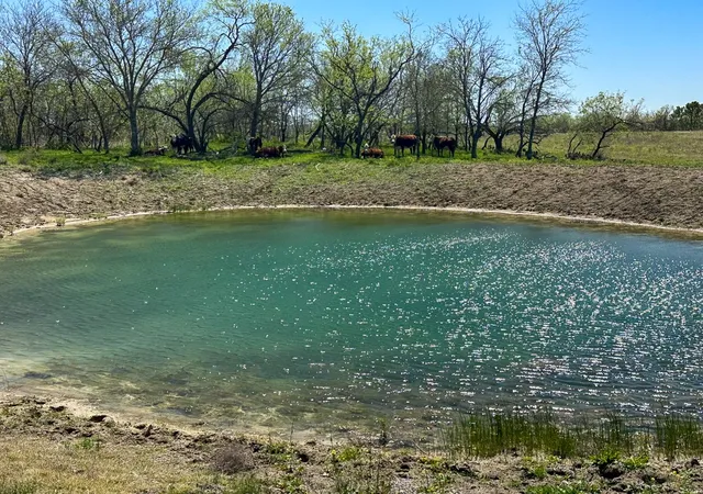 Photo 4 of Land for sale at 000 Cr636, Groesbeck, TX 76642 | MLS# 21393951 | Listing updated on 2026-09-24