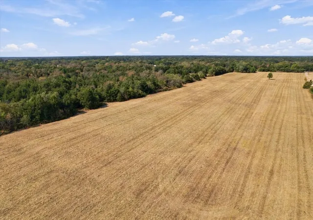 Photo 1 of Land for sale at Ybd Farm Rd 273, Ivanhoe, TX 75447 | MLS# 21393961 | Listing updated on 2026-10-09