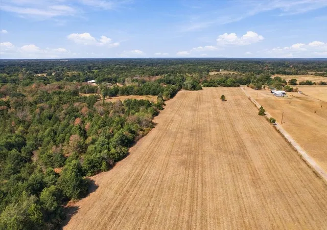Photo 2 of Land for sale at Ybd Farm Rd 273, Ivanhoe, TX 75447 | MLS# 21393961 | Listing updated on 2026-10-09