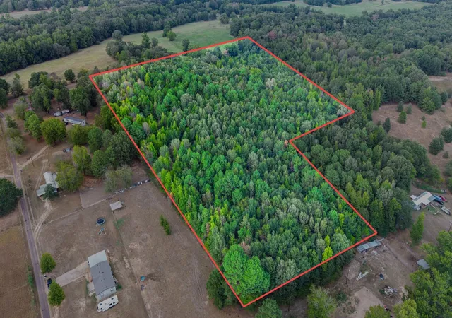 Photo 1 of Land for sale at 000 Cr 4153, Pittsburg, TX 75686 | MLS# 21394243 | Listing updated on 2026-09-24