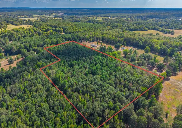 Photo 3 of Land for sale at 000 Cr 4153, Pittsburg, TX 75686 | MLS# 21394243 | Listing updated on 2026-09-24