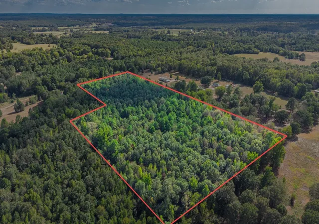 Photo 3 of Land for sale at 000 Cr 4153, Pittsburg, TX 75686 | MLS# 21394243 | Listing updated on 2026-09-24