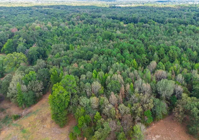 Photo 4 of Land for sale at 000 Cr 4153, Pittsburg, TX 75686 | MLS# 21394243 | Listing updated on 2026-09-24