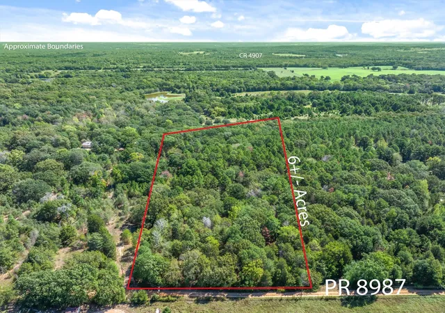 Photo 1 of Land for sale at Tbd County Rd 8987, Ben Wheeler, TX 75754 | MLS# 21392229 | Listing updated on 2026-09-24