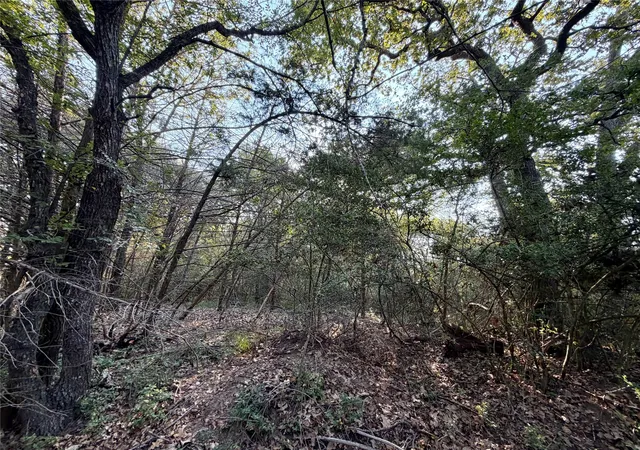 Photo 2 of Land for sale at Tbd Lcr 894, Groesbeck, TX 76642 | MLS# 21393718 | Listing updated on 2026-09-24