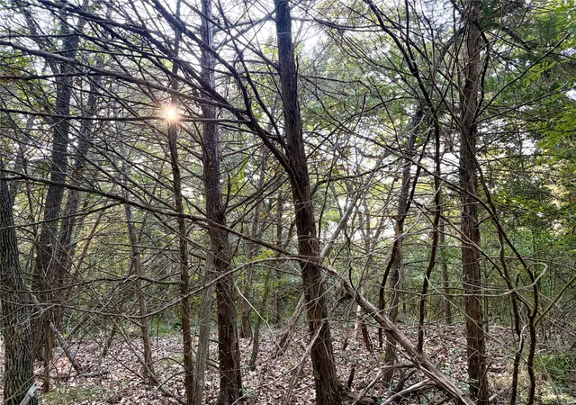 Photo 3 of Land for sale at Tbd Lcr 894, Groesbeck, TX 76642 | MLS# 21393718 | Listing updated on 2026-09-24