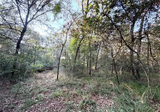 Photo 3 of Land for sale at Tbd Lcr 894, Groesbeck, TX 76642 | MLS# 21393718 | Listing updated on 2026-09-24