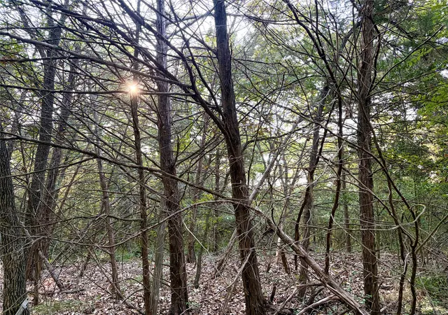 Photo 4 of Land for sale at Tbd Lcr 894, Groesbeck, TX 76642 | MLS# 21393718 | Listing updated on 2026-09-24