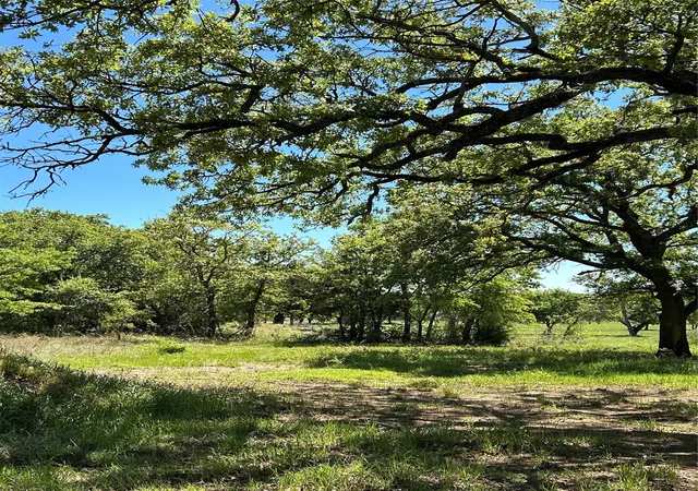 Photo 1 of Land for sale at 3270 Upper Montague Rd, Bowie, TX 76230 | MLS# 21393557 | Listing updated on 2026-10-09