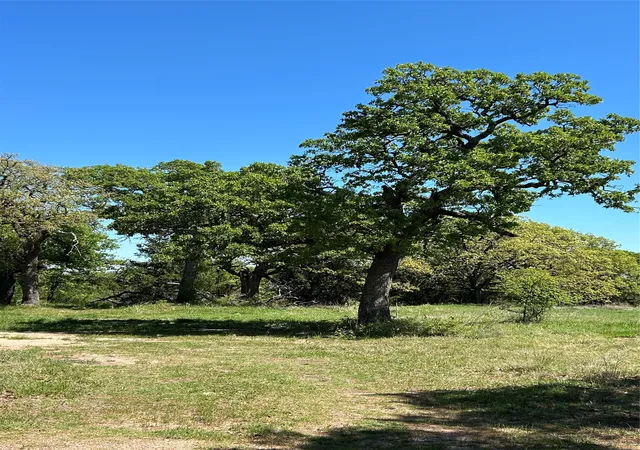 Photo 2 of Land for sale at 3270 Upper Montague Rd, Bowie, TX 76230 | MLS# 21393557 | Listing updated on 2026-10-09