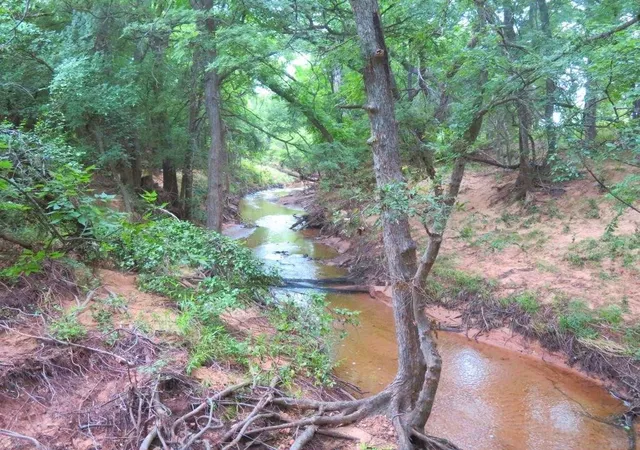 Photo 1 of Land for sale at 0000 Fm 1125, Bowie, TX 76230 | MLS# 21394570 | Listing updated on 2026-09-27