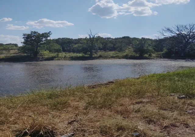 Photo 3 of Land for sale at 0000 Fm 1125, Bowie, TX 76230 | MLS# 21394570 | Listing updated on 2026-09-27