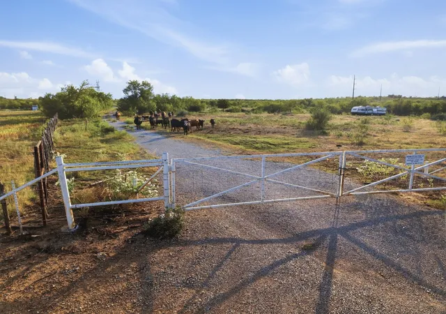 Photo 1 of Land for sale at Tbd Story Rd, Perrin, TX 76486 | MLS# 21392329 | Listing updated on 2026-09-29