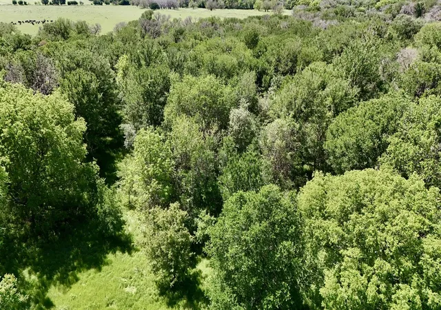 Photo 2 of Land for sale at 2031 County Rd 3310, Valley Mills, TX 76689 | MLS# 21394764 | Listing updated on 2026-09-25