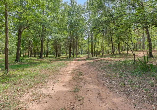 Photo 2 of Land for sale at 516 Willingham Rd, Whitehouse, TX 75791 | MLS# 21394831 | Listing updated on 2026-09-25