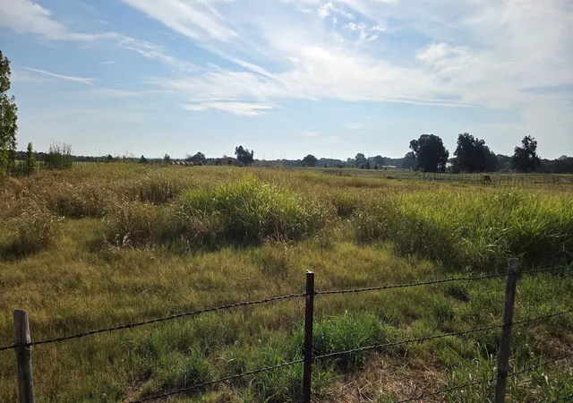 Photo 1 of Land for sale at 0000 Fm 901, Sadler, TX 76264 | MLS# 21394956 | Listing updated on 2026-09-26