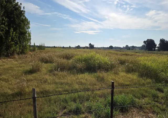 Photo 3 of Land for sale at 0000 Fm 901, Sadler, TX 76264 | MLS# 21394956 | Listing updated on 2026-09-26