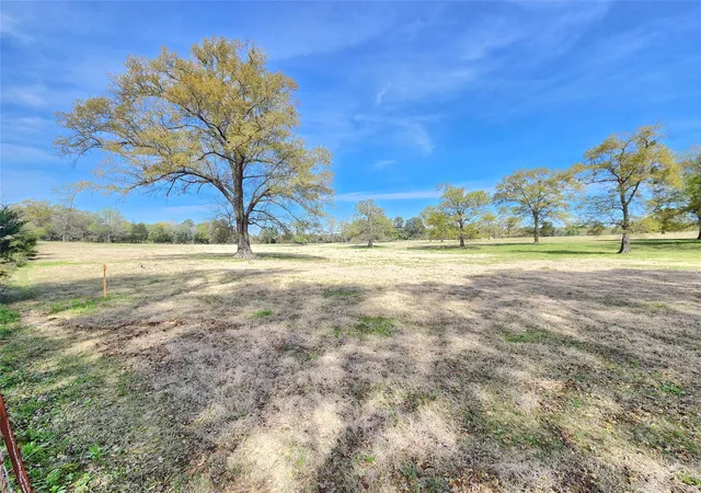 Photo 3 of Land for sale at Lot 10 Fm 49, Gilmer, TX 75644 | MLS# 21395004 | Listing updated on 2026-09-25