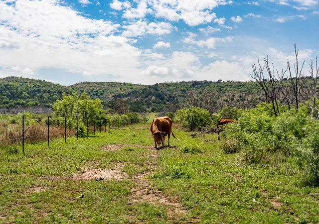 Photo 3 of Land for sale at 1034 Braune Rd, Abilene, TX 79603 | MLS# 21395399 | Listing updated on 2026-09-25