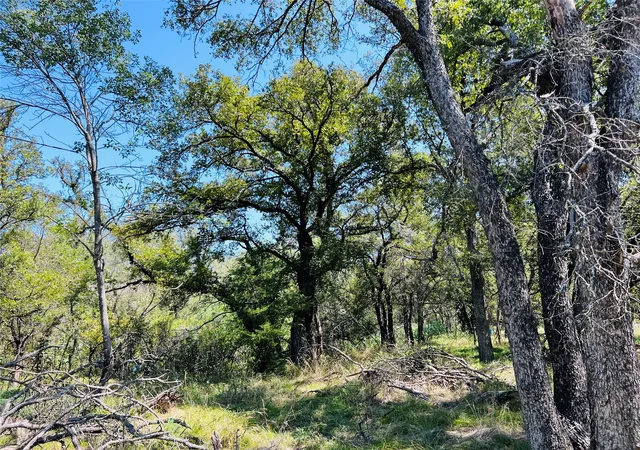 Photo 3 of Land for sale at Tbd Shiloh Sharps Xing, Santo, TX 76472 | MLS# 21395264 | Listing updated on 2026-09-25