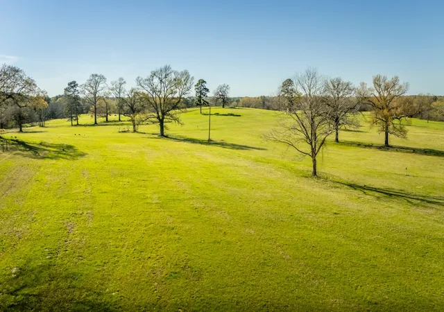 Photo 1 of Land for sale at 338 Cherokee Ln, Gladewater, TX 75647 | MLS# 21395629 | Listing updated on 2026-10-09