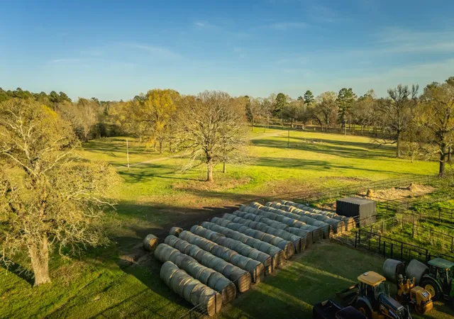 Photo 25 of Land for sale at 338 Cherokee Ln, Gladewater, TX 75647 | MLS# 21395629 | Listing updated on 2026-10-09
