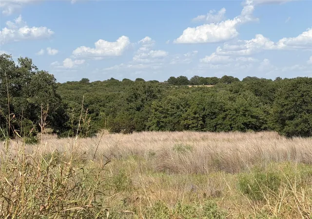 Land for sale at Lot 51 Tbd Turkey Ct, Perrin, TX 76486 | MLS# 21395311
