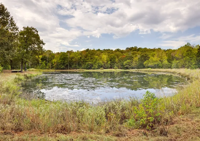 Photo 3 of Single family home for sale at 1522 Fm 17, Grand Saline, TX 75140 | MLS# 21388357 | Listing updated on 2026-09-26